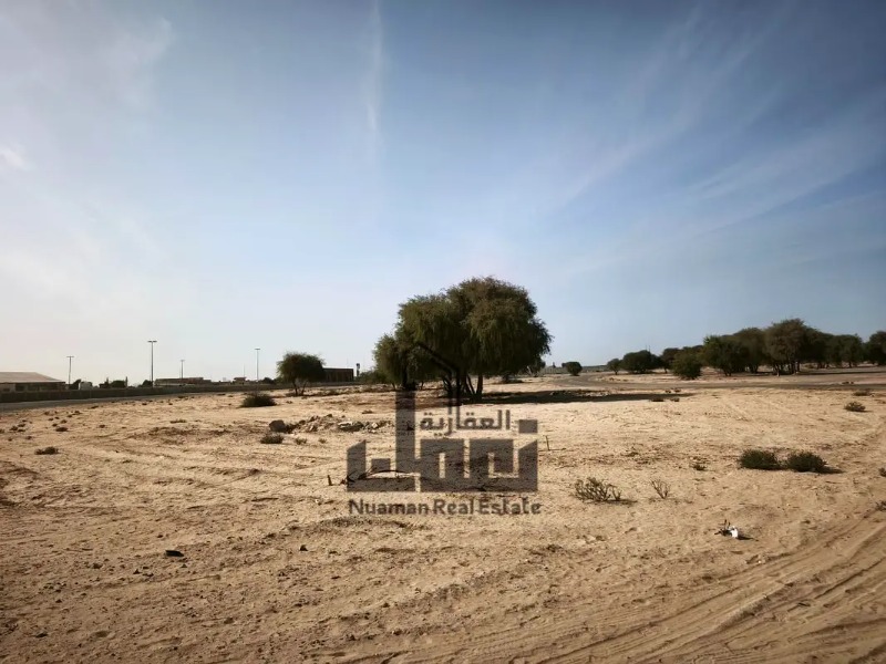 A prime investment opportunity to acquire two side-by-side residential plots in the sought-after Mazairah area, Al Rahmaniyah. Strategically located photo 2