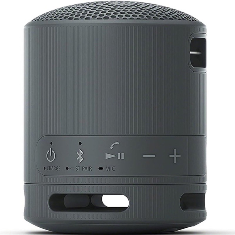 Sony Portable Wireless Speaker | Extra BASS, 16 Hour Battery Life, IP67 Waterproof And Dustproof Rating, Black SRS-XB100/B-R photo 2
