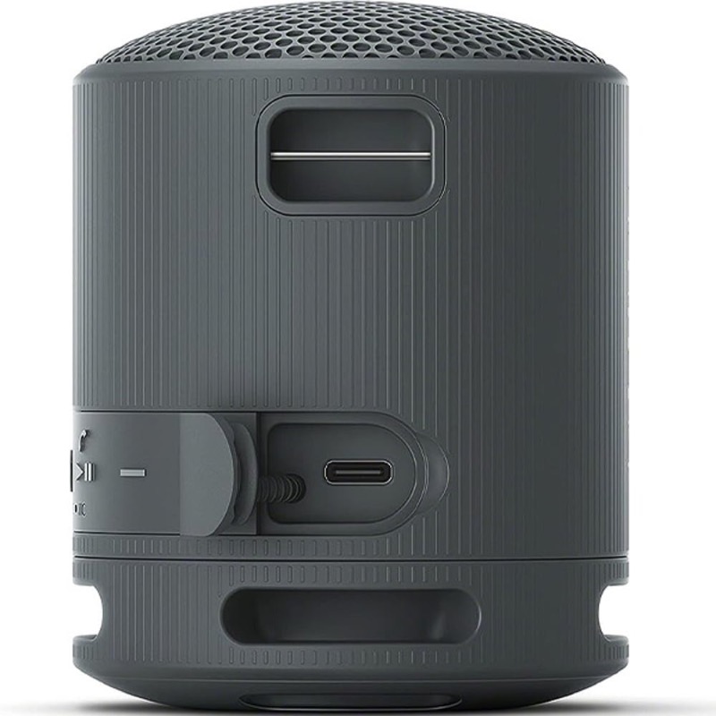 Sony Portable Wireless Speaker | Extra BASS, 16 Hour Battery Life, IP67 Waterproof And Dustproof Rating, Black SRS-XB100/B-R photo 3