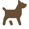Animals & Pets