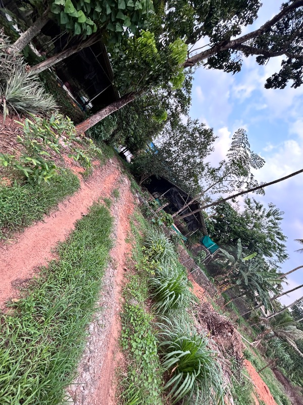 2.5 Acres Land  photo 3