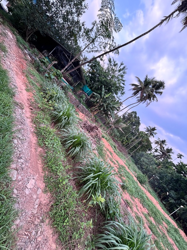 2.5 Acres Land  photo 2