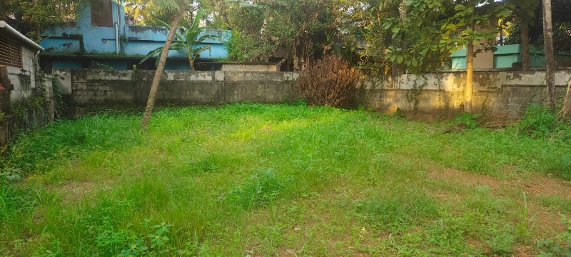 6 cents land for sale near karikode kollam photo 2