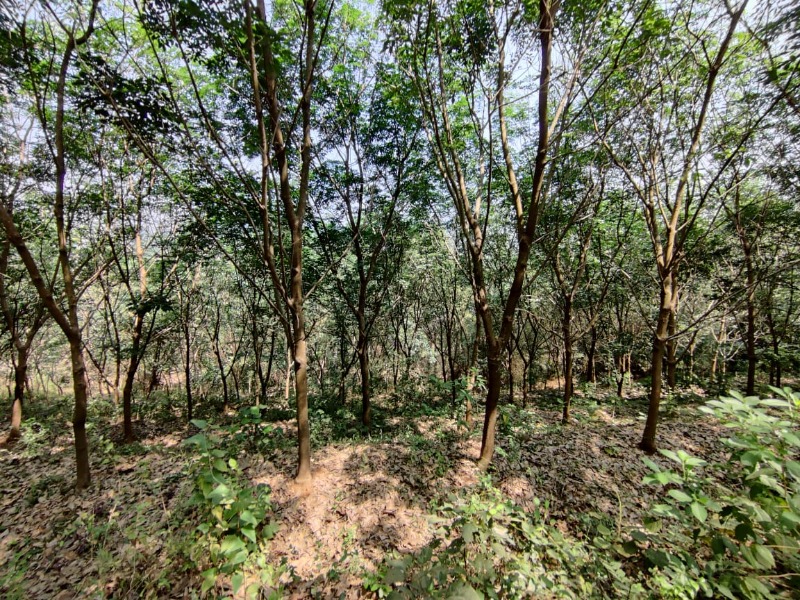 Plot for sale photo 2