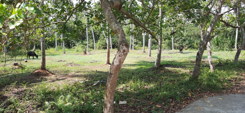 Land for Sale near poovar check post photo 3