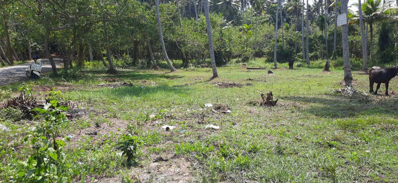 Land for Sale near poovar check post photo 4