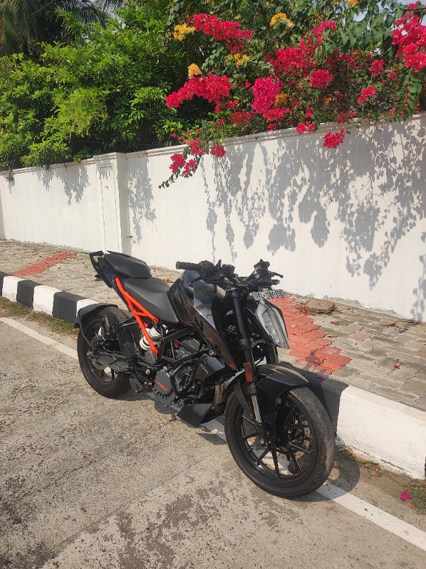 KTM Duke photo 2