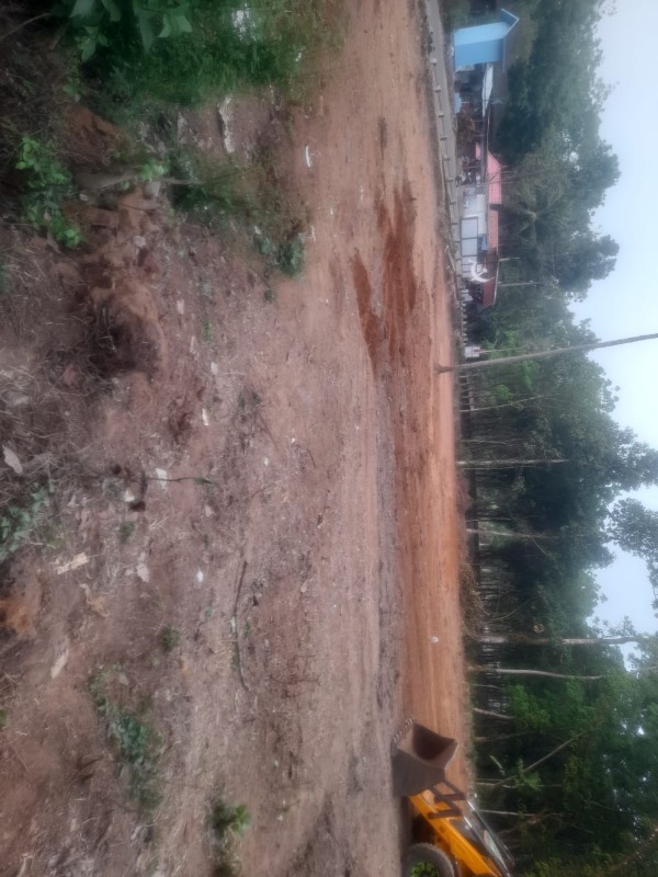 30 cent plot for sale  photo 4