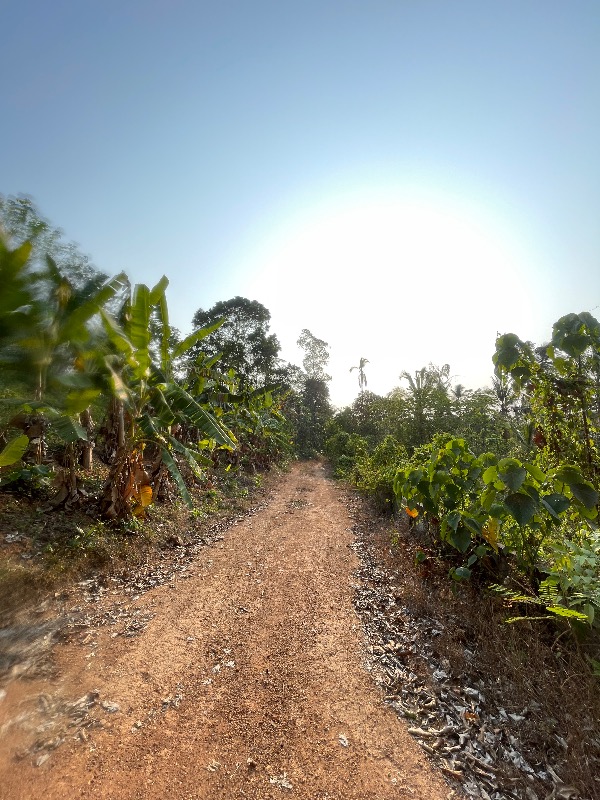 Plot for home, farming, cottage,godown  photo 3