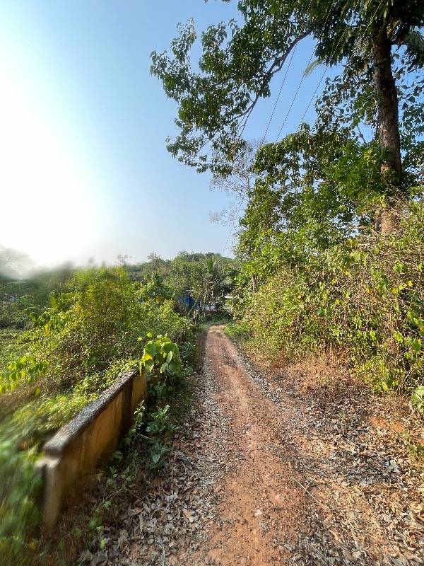 Plot for home, farming, cottage,godown  photo 2