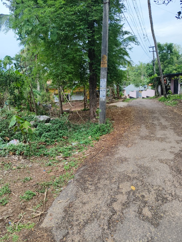 Land for sale photo 3