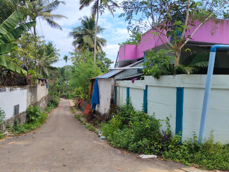 10cent plot for sale  photo 4