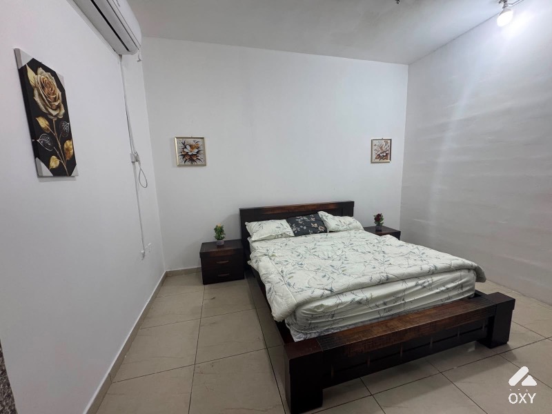  1 BHK Fully Furnished for Rent  photo 3