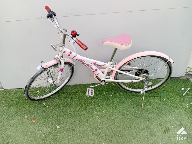 Bicyecle photo 2
