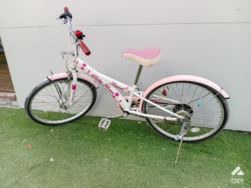Bicyecle photo 3