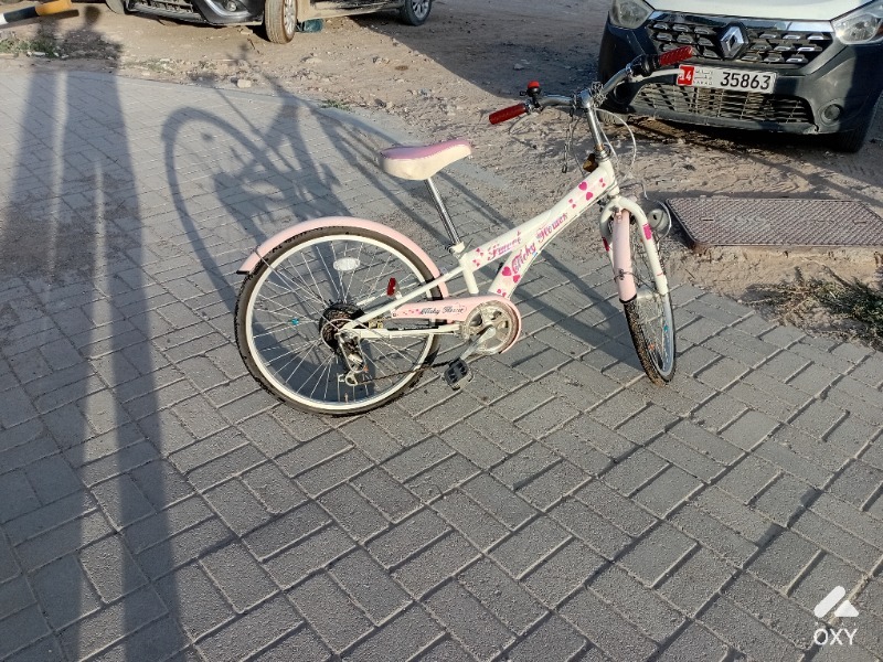 Bicyecle photo 4