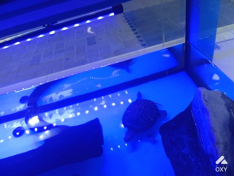 Aquarium  photo 2
