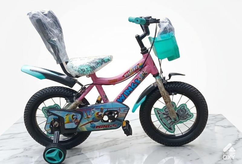 Cycle photo 2