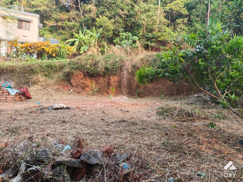 Plot For Sale Nr Palazhi, Payyadimeethal photo 2