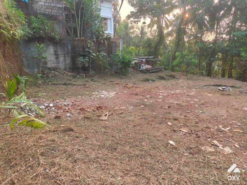 Plot For Sale Nr Palazhi, Payyadimeethal photo 4