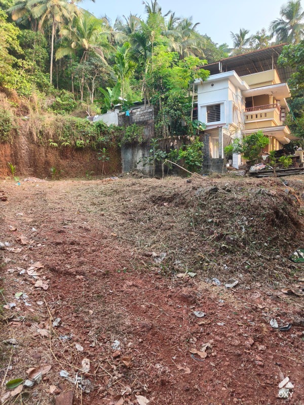 Plot photo 2