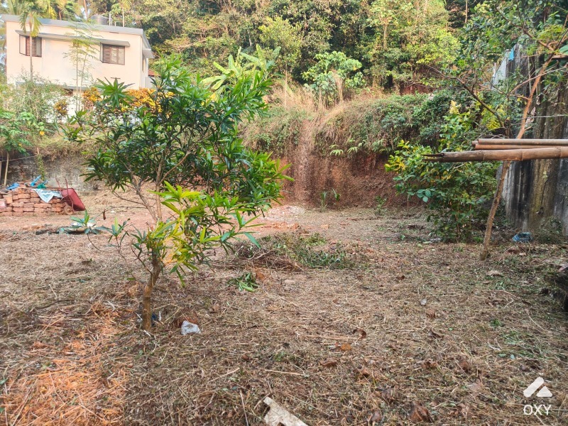 Plot photo 3