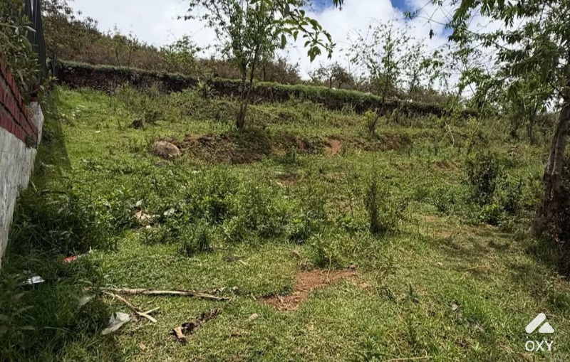 Premium Land for Sale in Kodaikanal photo 3