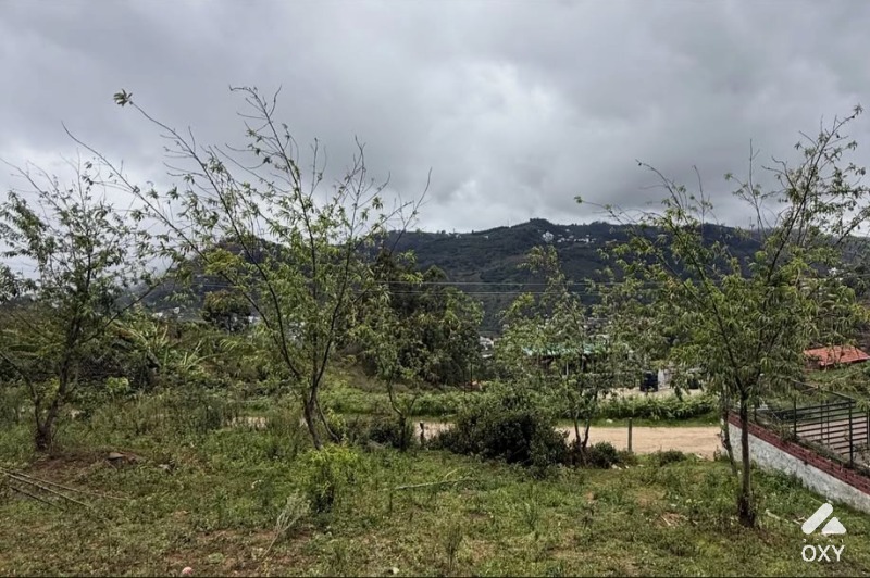 Premium Land for Sale in Kodaikanal photo 4