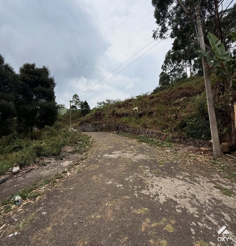 Land for sale  photo 2