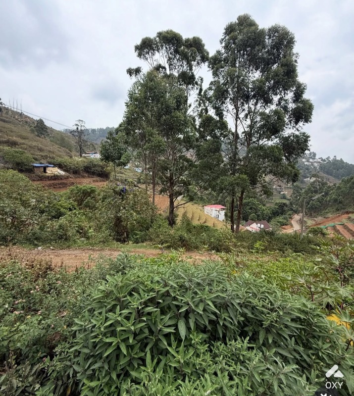 Land for sale  photo 3