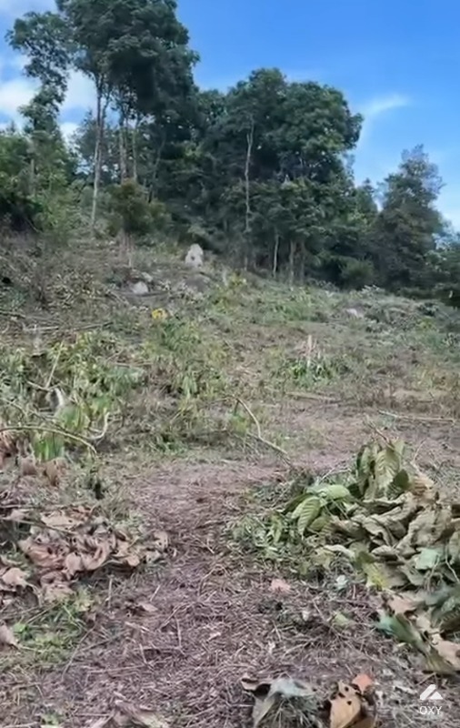 Land for sale  photo 2