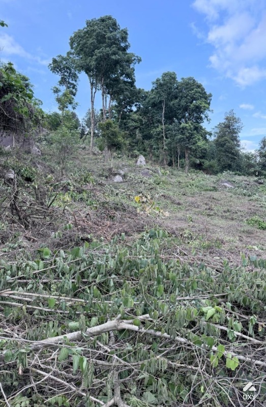 Land for sale  photo 3