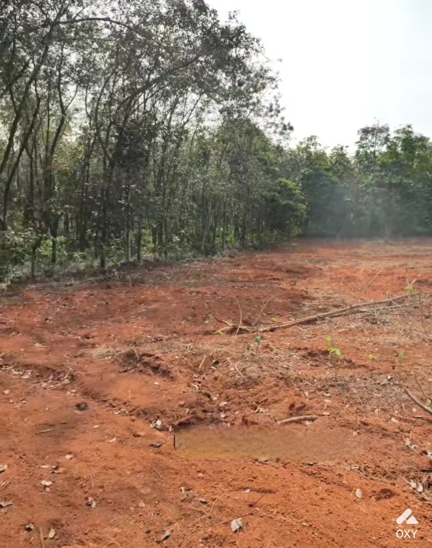 Land for sale  photo 2