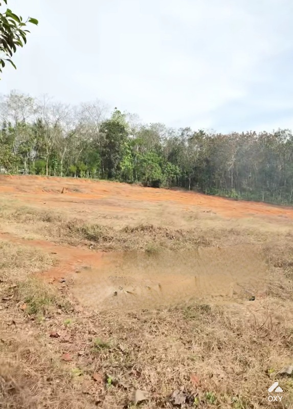 Land for sale  photo 3