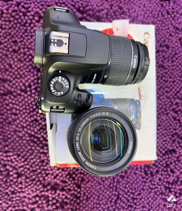 CANON 4000D photo 2