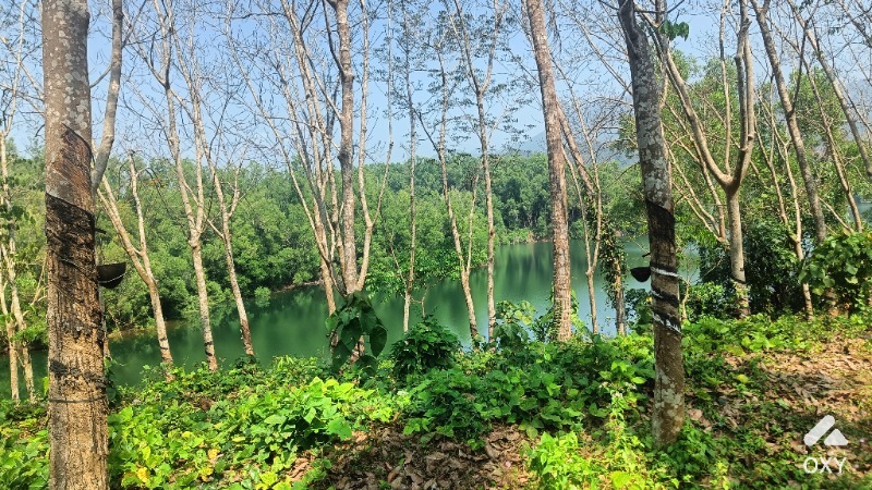1.5 acre plot for sale photo 4